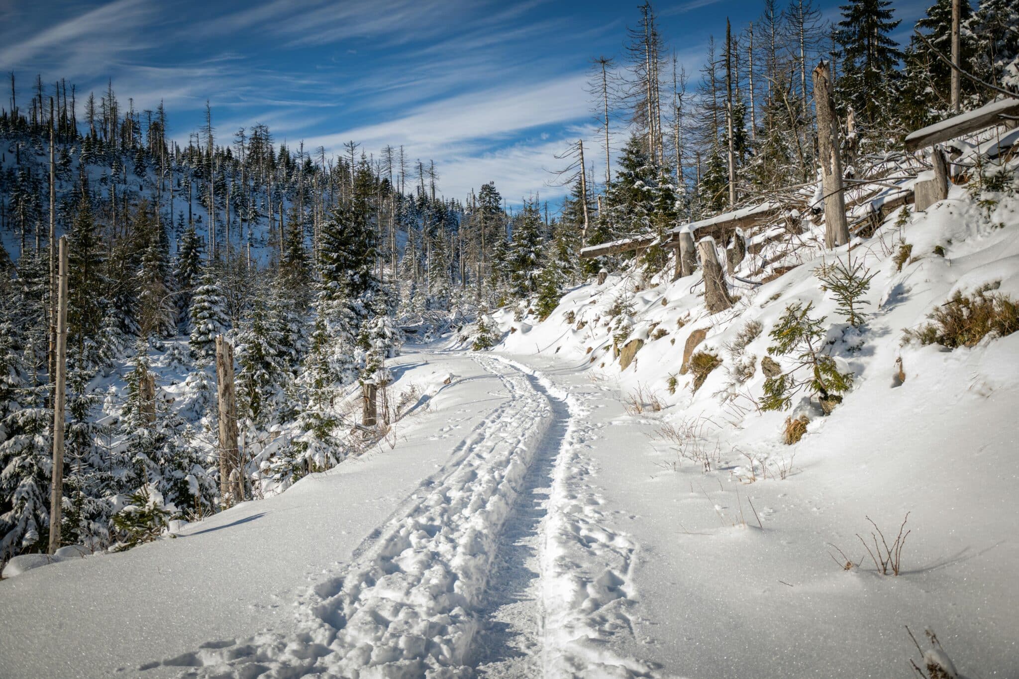 Mit dem Riposa Winter-Schlafbonus gesund schlafen und dann herrlich durch den Schnee stampfen